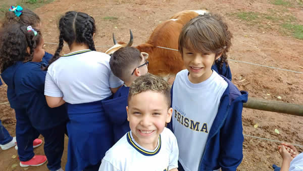 Bicho Mania 2022